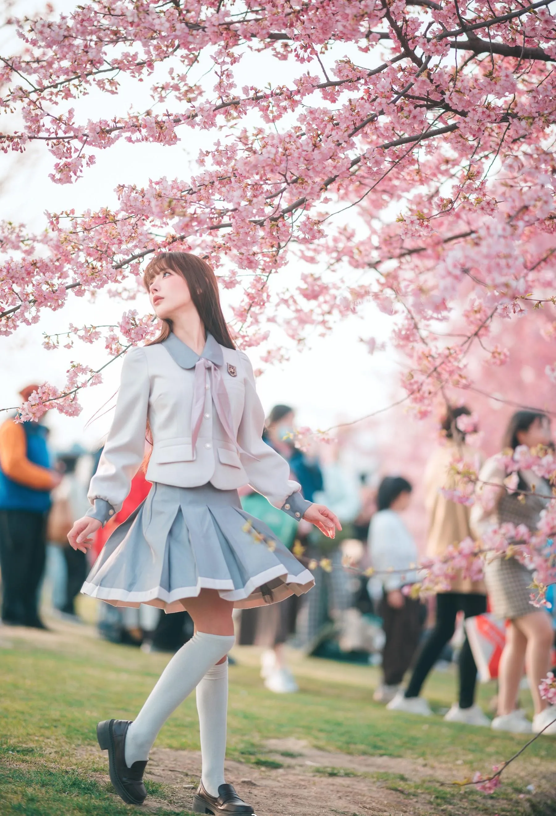 紫氯氯 – NO.03 樱花下的JK少女 [19P]插图7
